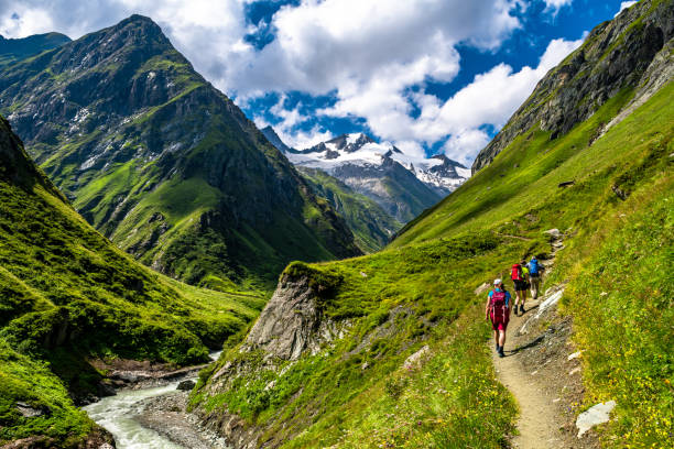A high alpine meadow with snow-capped European peaks