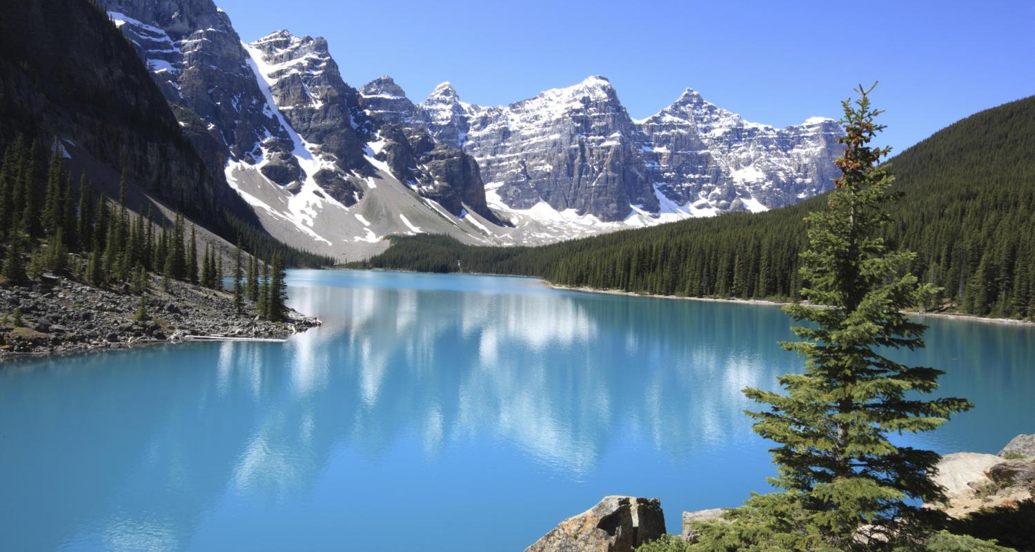 A bright turquoise lake surrounded by tall pine trees and mountains in Canada